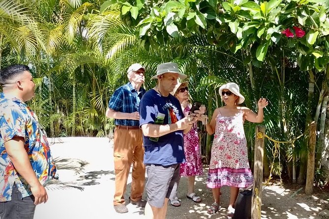 Cozumel: Hands-On Chocolate, Tortilla, Salsa & Honey Experience - Pressing fresh dough into handmade tortillas