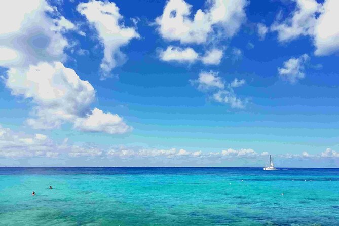 Cozumel Island Tour: Mayan Ruins, Reefs, and Beach Escape - Key points to know before booking