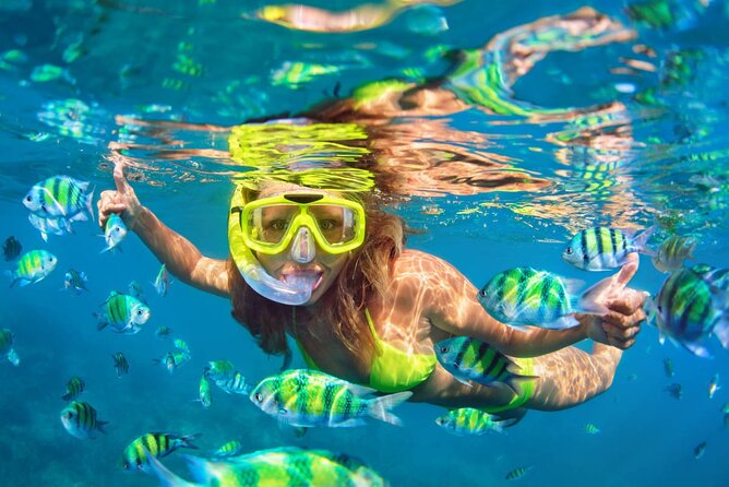 Cozumel Island Tour: Mayan Ruins, Reefs, and Beach Escape - The island drive gives you Cozumel in broad strokes