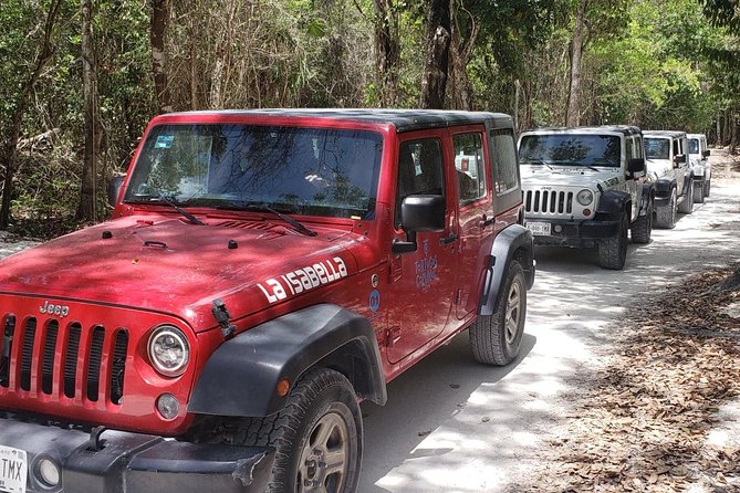 Cozumel Jeep Adventure to Jade Caverns with Lunch and Snorkel - Jade Cenote and the rough road into the jungle