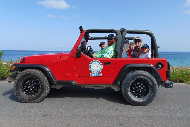 Cozumel Jeep and Snorkel Adventure with Lunch at Punta Sur Park - Practical details for cruise passengers and families