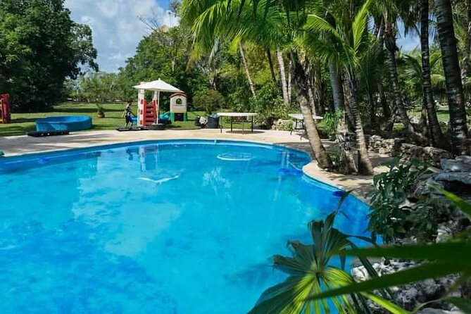 Cozumel Jungle ATV Adventure and Unlimited Beach Break - Tequila tasting adds a brief taste of Mexico