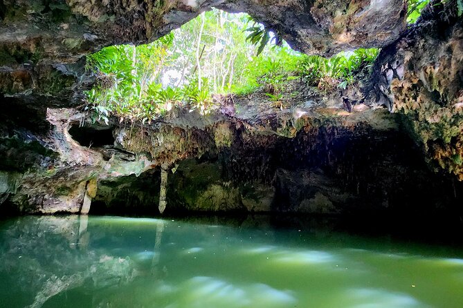 Cozumel Jungle ATV Tour Adventure and Caverns with transfer - El Cedral and the extra $20 entrance fee