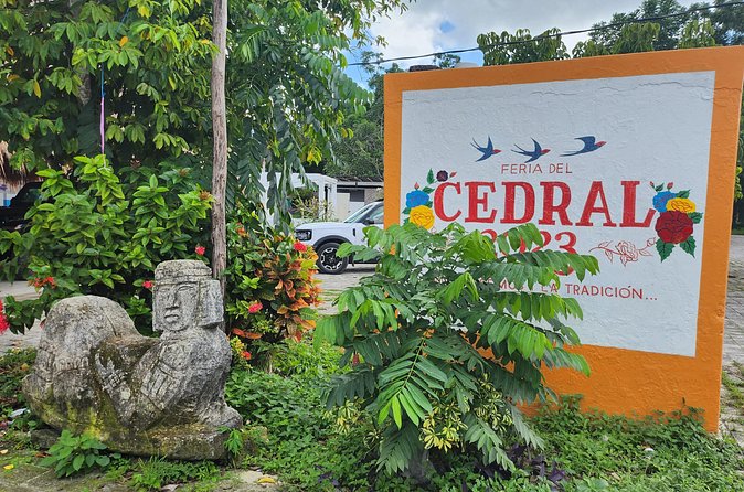 Cozumel Jungle ATV Tour Adventure and Caverns with transfer - El Cedralito and the long tequila tasting