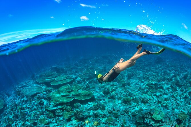 Cozumel Luxury Sailing & Snorkeling Cruise Experience - The group size and the meaning of luxury