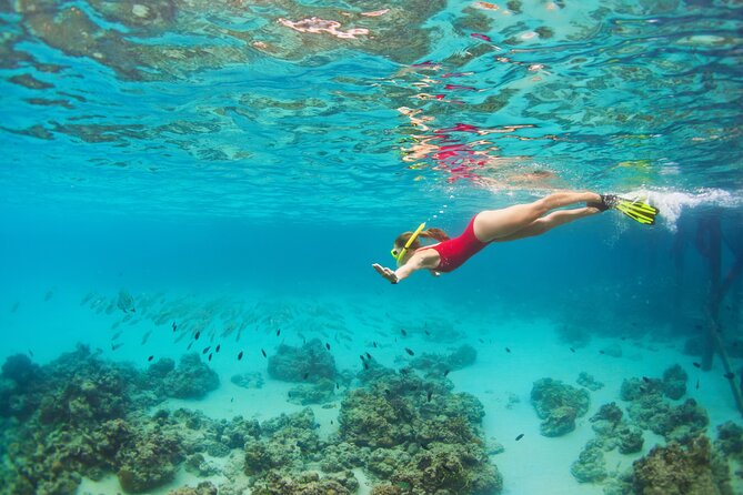 Cozumel Luxury Sailing & Snorkeling Cruise Experience - Who will enjoy this Cozumel cruise?
