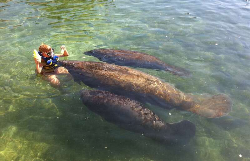 Cozumel: Manatee Encounter, Chankanaab Admission and Buffet - Chankanaab National Park gives you more than the animal encounter