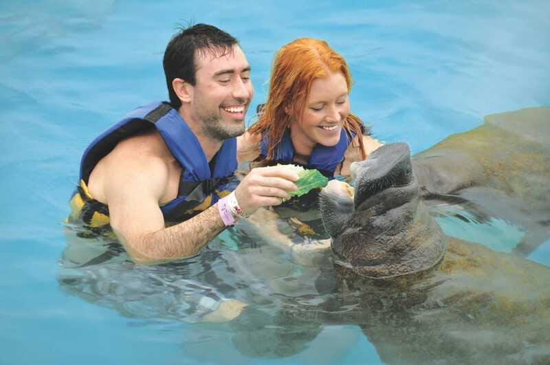 Cozumel: Manatee Encounter, Chankanaab Admission and Buffet - Should you book the Cozumel manatee encounter?