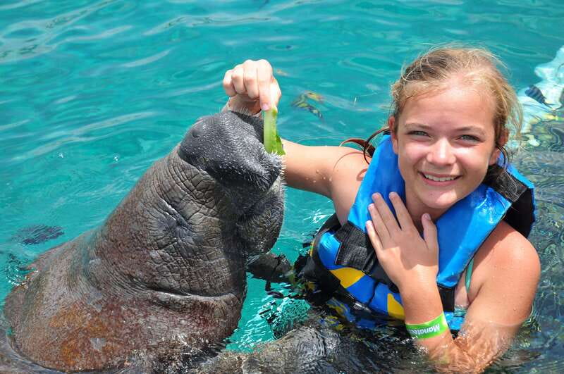 Cozumel: Manatee Encounter, Chankanaab Admission and Buffet - What happens during the 30-minute session