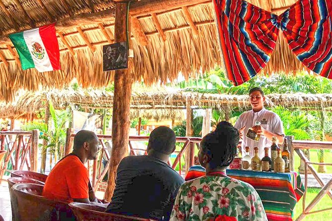 Cozumel Mayan Experience And Beach Getaway with Transfer - Why this Cozumel tour works for a short visit