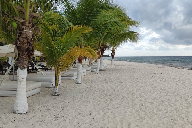Cozumel Mayan Ruins and Beach Break - What the private vehicle and guide add