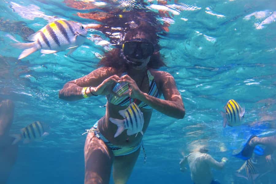 Cozumel: Mayan Ruins Guided Tour with Snorkeling & Lunch - Booking details worth checking first