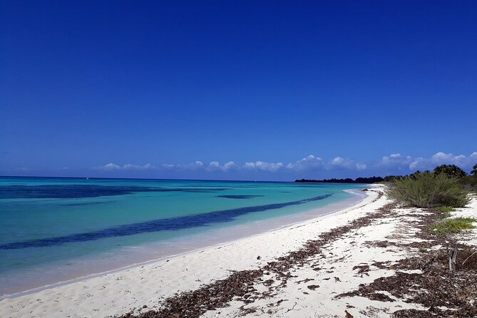 Cozumel National Park and Beach Break: Private Tour - Circling Cozumel by the ocean