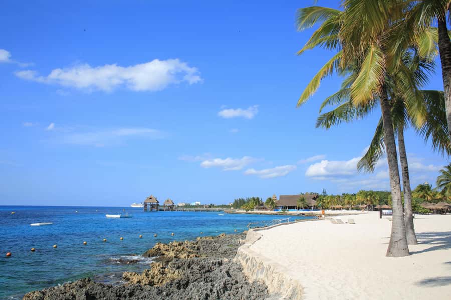 Cozumel: Official Chankanaab Park and Snorkeling with Lunch - Who will enjoy Chankanaab most?