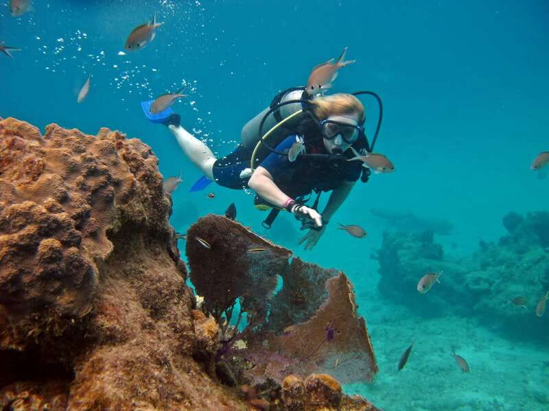 Cozumel: One Tank Scuba Dive and Full Chankanaab Park Access - Quick points about the Chankanaab scuba experience