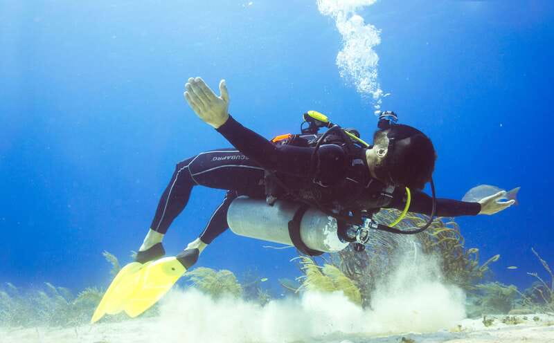 Cozumel: One Tank Scuba Dive and Full Chankanaab Park Access - What makes this Chankanaab session different