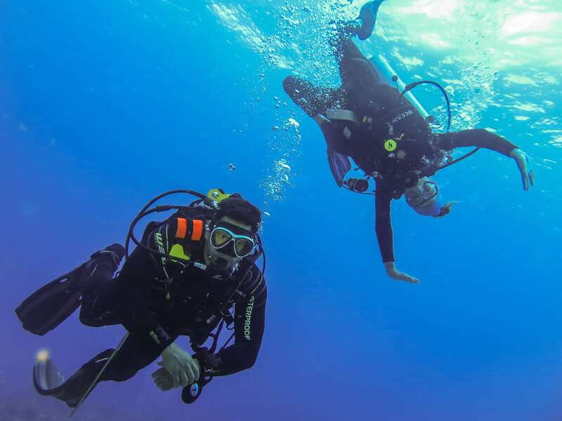 Cozumel: One Tank Scuba Dive and Full Chankanaab Park Access - The one-tank underwater route