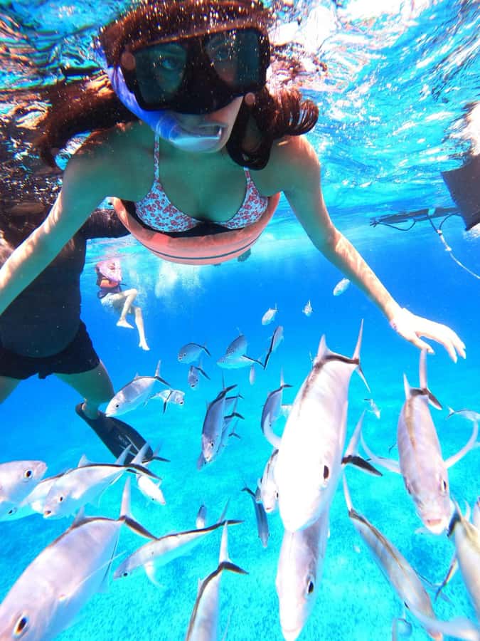 Cozumel: Palancar, Columbia and Cielo Reefs Snorkeling Tour - Booking flexibility and timing