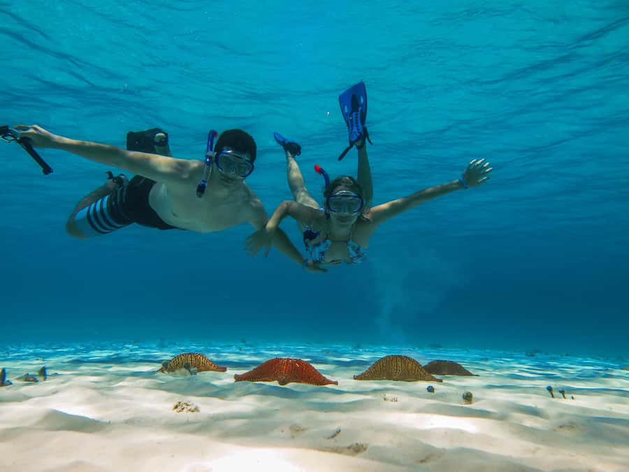 Cozumel: Palancar, Columbia and Cielo Reefs Snorkeling Tour - Meeting at Marina Cozumel ASIPONA