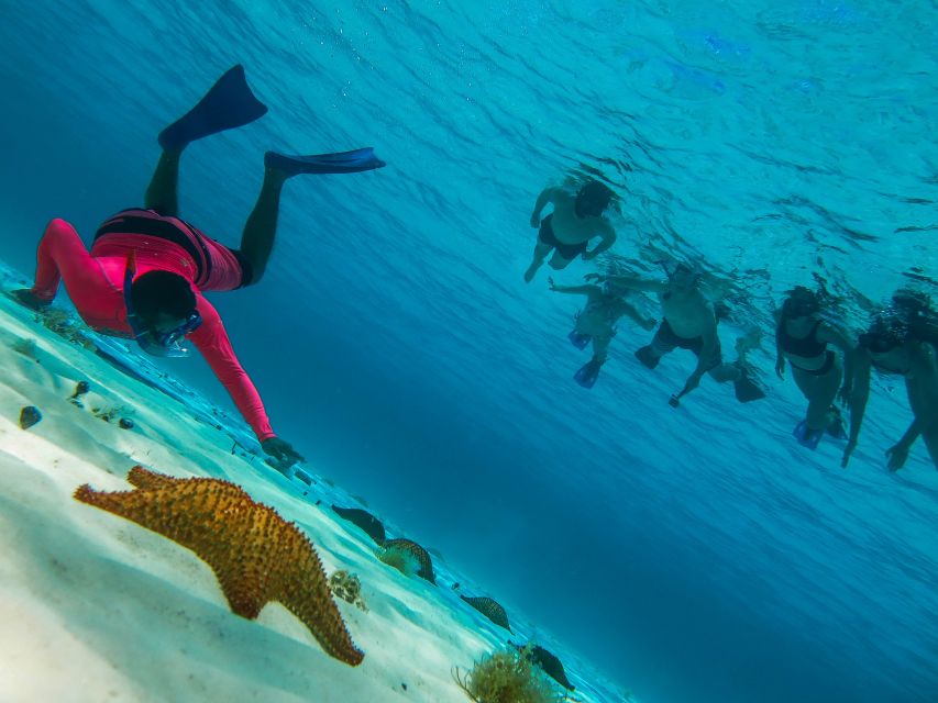 Cozumel: Palancar, Columbia and Cielo Reefs Snorkeling Tour - Ceviche, cold drinks, and shade on the ride back