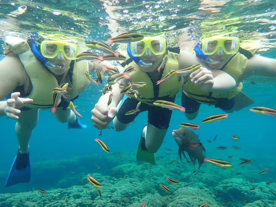 Cozumel: Palancar, Columbia and Cielo Reefs Snorkeling Tour - Who should book this Cozumel snorkeling trip?