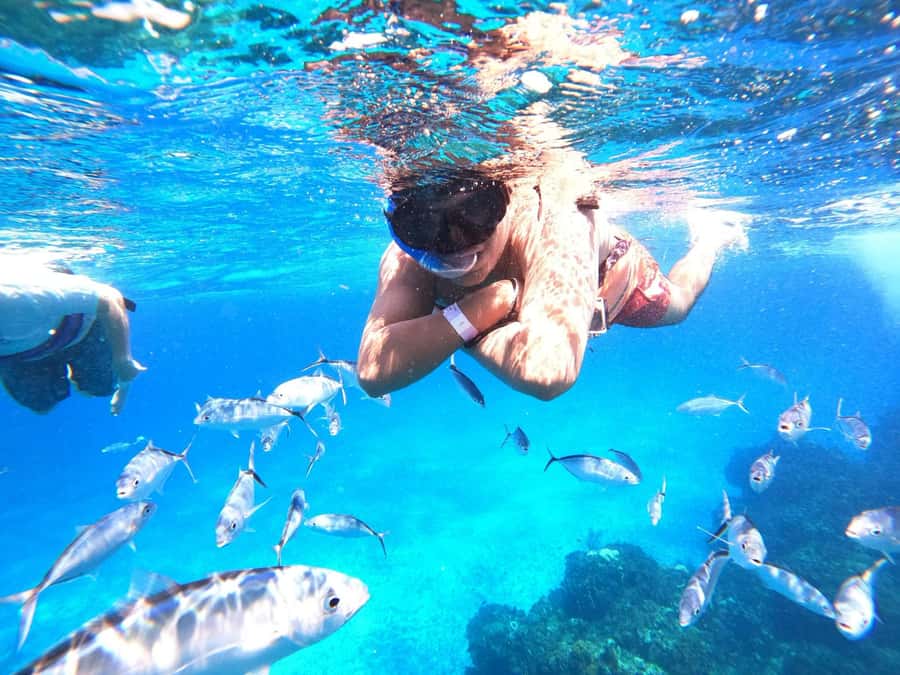 Cozumel: Palancar, Columbia and Cielo Reefs Snorkeling Tour - Practical tips for a smoother day