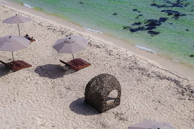 Cozumel Playa Palancar VIP All Inclusive Day Pass - The role of your attendant