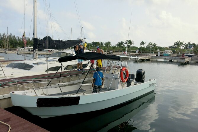 Cozumel Private 4-Hour Boat Tour to Passion Island - What happens at Passion Island