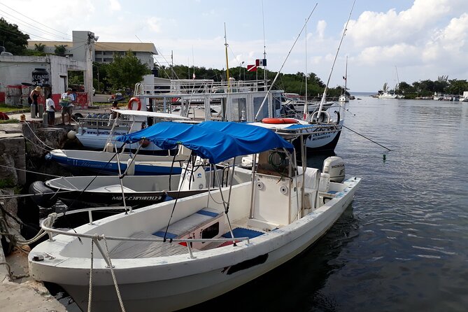 Cozumel Private 4-Hour Boat Tour to Passion Island - Food, drinks, and the floating-table experience