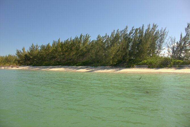 Cozumel Private 4-Hour Boat Tour to Passion Island - The crew matters more than the route