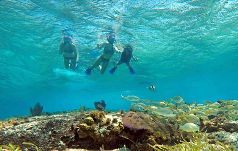 Cozumel: Private Charter Boat and Snorkel Day Trip - Key points at a glance