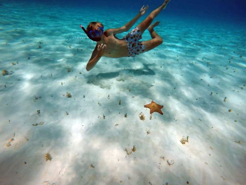 Cozumel: Private Charter Boat and Snorkel Day Trip - What the four-hour schedule means for you