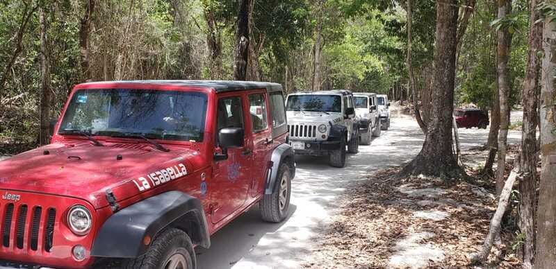 Cozumel: Private Jeep Tour Shore Excursion - Timing, guides, and practical comfort