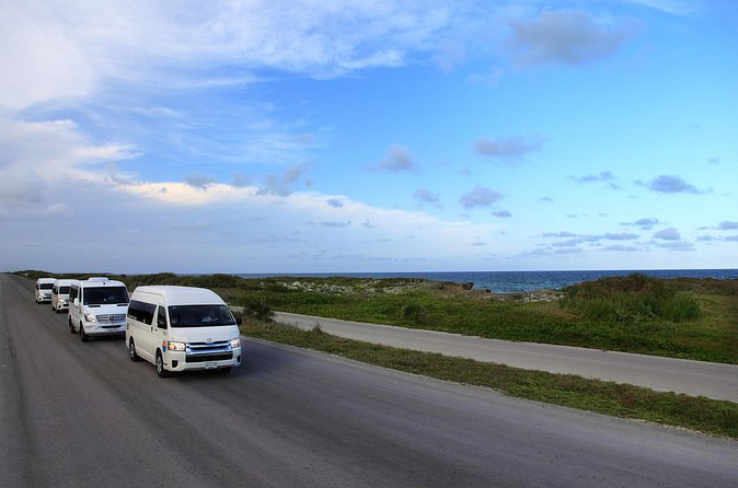 Cozumel Private Shuttle For Groups to Top Beach Clubs - Meeting your driver at Cozumel’s three cruise piers