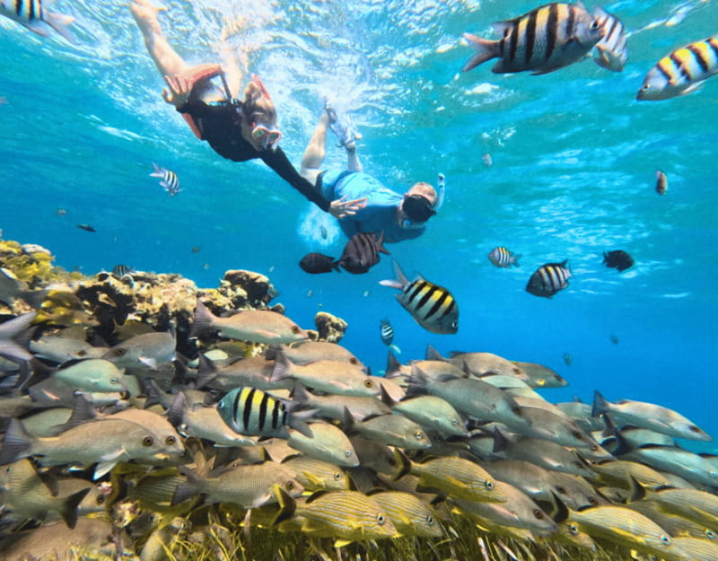Cozumel: Private Snorkel Tour El Cielo + 3 Reefs Food Drinks - El Cielo is the visual centerpiece
