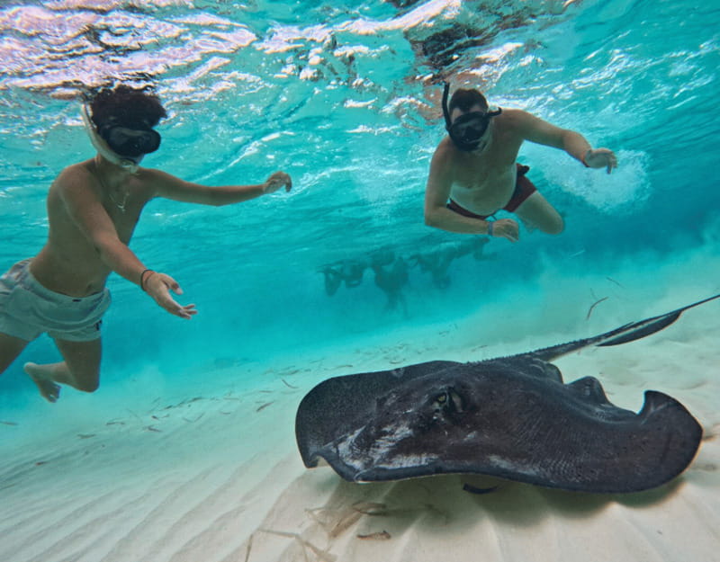 Cozumel: Private Snorkel Tour El Cielo + 3 Reefs Food Drinks - The private boat is worth comparing by group size