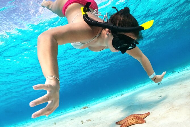 Cozumel Private Snorkeling and Charter Experience - Choosing your departure time