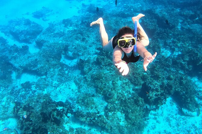 Cozumel Private Snorkeling and Charter Experience - Food, drinks, and time between swims