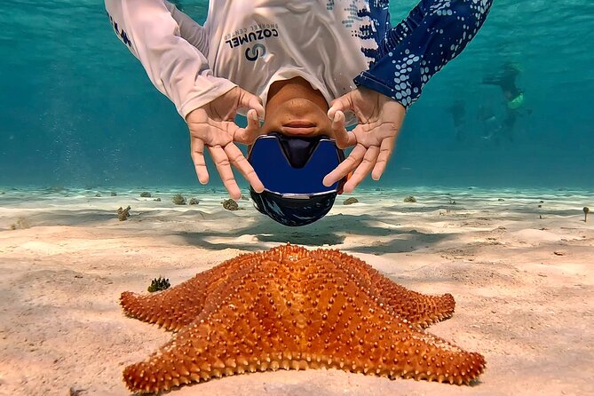 Cozumel Private Snorkeling and Charter Experience - Is the $900 group price good value?