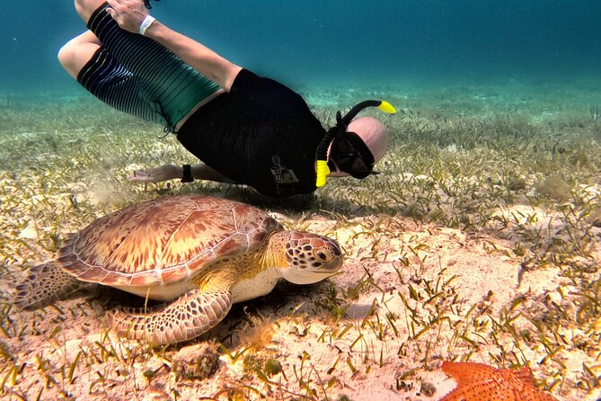 Cozumel Private Snorkeling and Charter Experience - El Cielo: shallow water and starfish