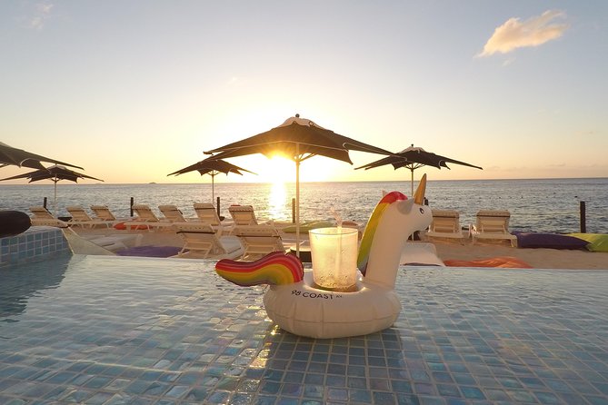 Cozumel Private Van Service with Snorkel Tour - What the driver-guide adds, and where service can vary