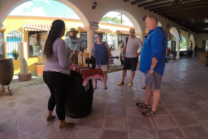 Cozumel Private Van Service with Snorkel Tour - Vehicle size, mobility equipment, and comfort
