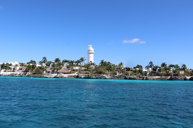 Cozumel Reef Snorkeling Tour - Palancar Reef: a shorter look at a famous name