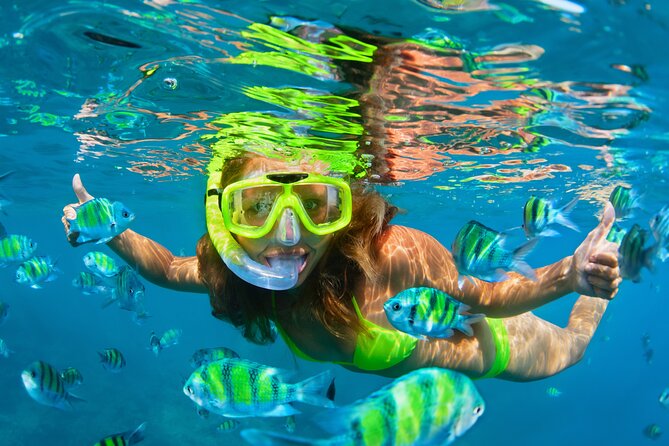 Cozumel Reef Snorkeling Tour - Lunch, drinks, and time in San Miguel