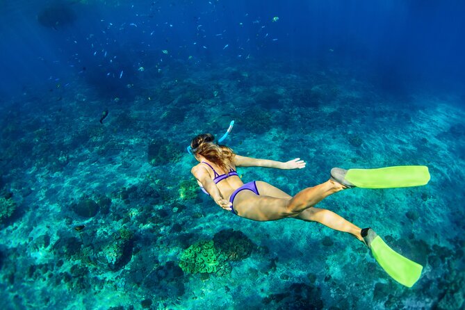 Cozumel Reef Snorkeling Tour - Timing depends heavily on where you stay