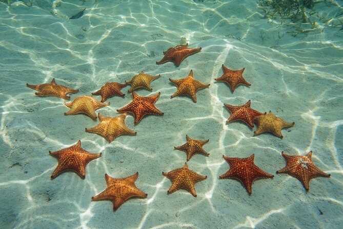 Cozumel Reef Snorkeling Tour - Boat comfort and sun protection