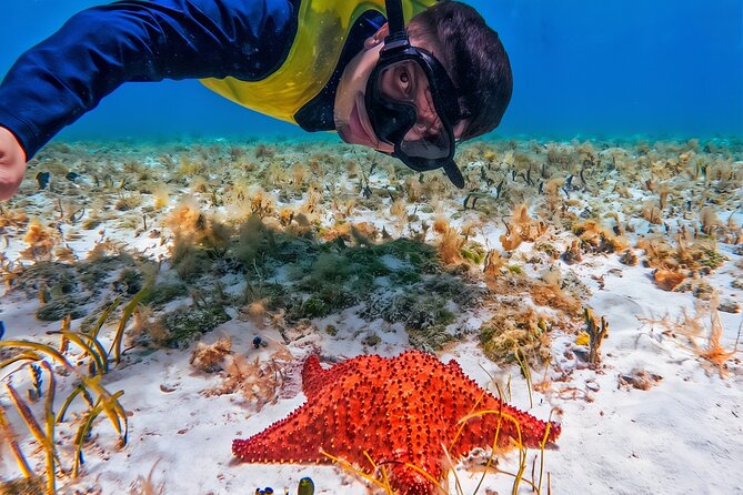 Cozumel's Reefs in El Cielo, Palancar and Columbia Guided Tour - Key points to know before booking