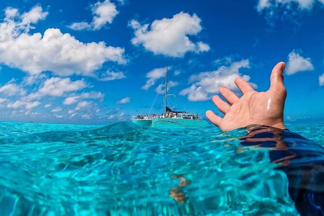 Cozumel's Reefs in El Cielo, Palancar and Columbia Guided Tour - Four and a half hours around Cozumel’s reefs