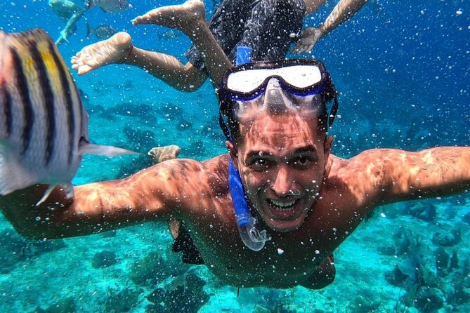 Cozumel's Reefs in El Cielo, Palancar and Columbia Guided Tour - Palancar Reef adds turtles and colorful fish