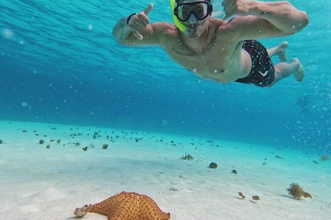 Cozumel's Reefs in El Cielo, Palancar and Columbia Guided Tour - El Cielo is more sandbar than reef